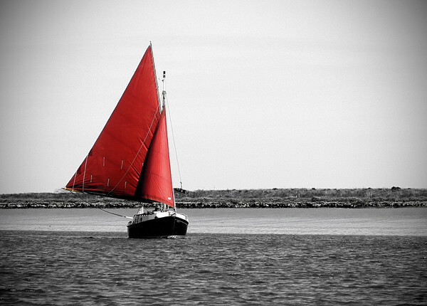 Majestic Red Sails Picture Board by graham young
