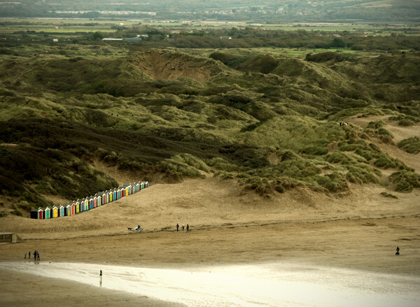 The Dunes and Beach huts at Saunton Sands Picture Board by graham young