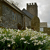 Buy canvas prints of Snowdrops at Oare Church by graham young