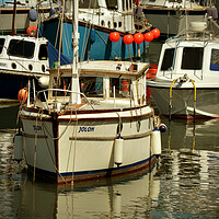 Buy canvas prints of In Ilfracombe Harbour by graham young