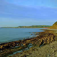 Buy canvas prints of Bucks Mills Beach by graham young