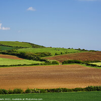 Buy canvas prints of Serene Countryside Bliss by Nicola Clark