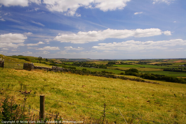 Lush West Dorset Countryside Picture Board by Nicola Clark