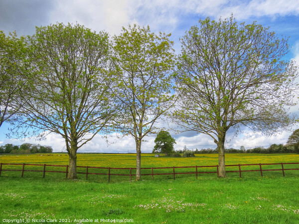 Majestic Wiltshire Landscape Picture Board by Nicola Clark