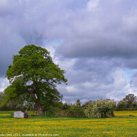 Buy canvas prints of Idyllic Wiltshire Countryside by Nicola Clark