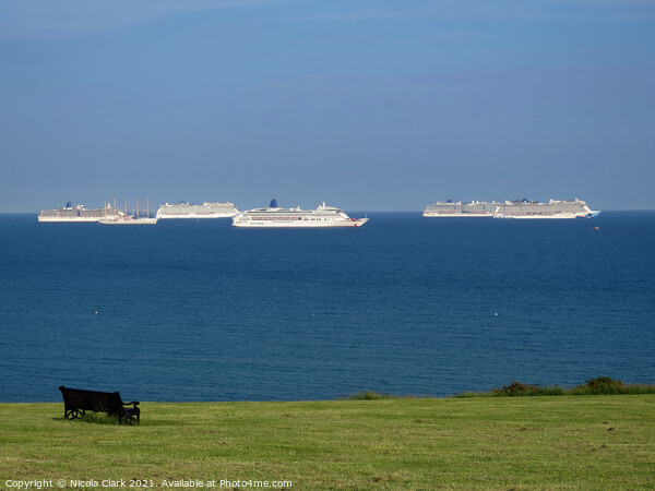 Majestic Cruise Liners in Weymouth Bay Picture Board by Nicola Clark