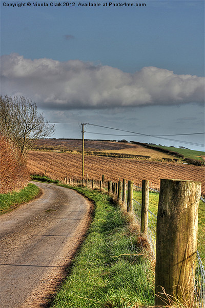 Country Lane Picture Board by Nicola Clark