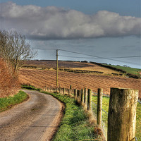 Buy canvas prints of Country Lane by Nicola Clark