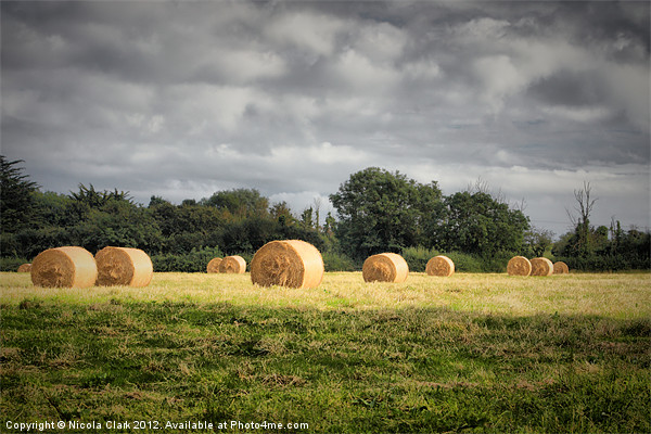 Bales Of Straw Picture Board by Nicola Clark