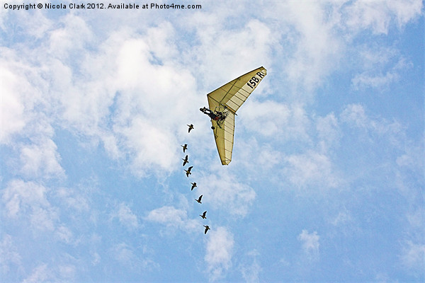 Microlight And Geese Flying Together Picture Board by Nicola Clark