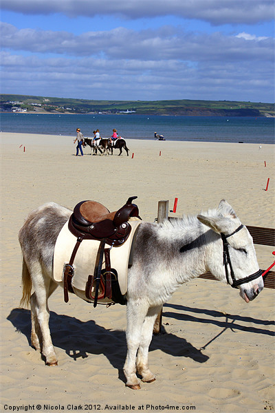 Seaside Donkey Rides Picture Board by Nicola Clark