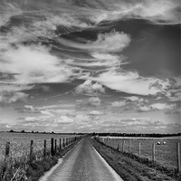 Buy canvas prints of Road To Nowhere by Nicola Clark