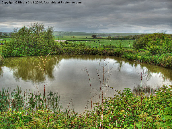 Countryside Lake Picture Board by Nicola Clark