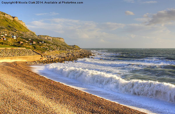 Sunlight On Chesil Cove Picture Board by Nicola Clark