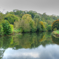 Buy canvas prints of The River by Nicola Clark