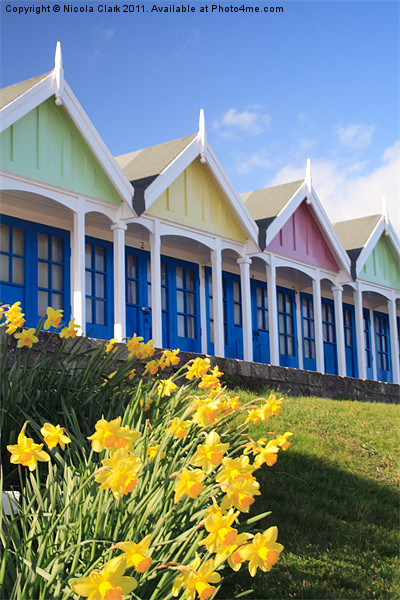 Beach Huts in Spring Picture Board by Nicola Clark