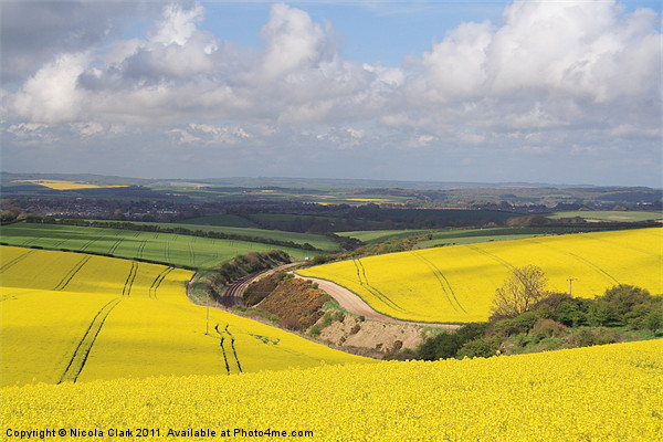 Dorset Countryside in Spring Picture Board by Nicola Clark