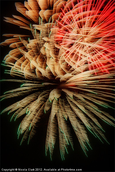 Fireworks Picture Board by Nicola Clark