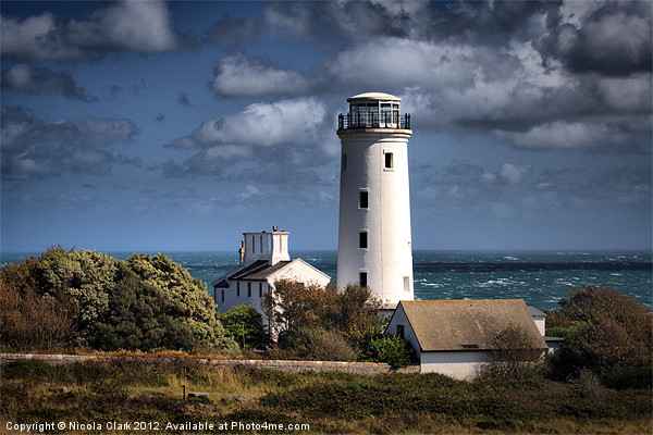 Portland Bill Lower Old Lighthouse Picture Board by Nicola Clark