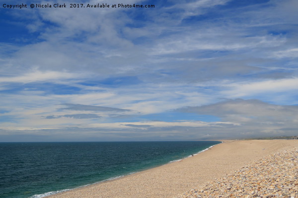 Chesil Beach In July Picture Board by Nicola Clark