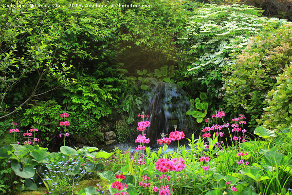 Enchanted Garden Picture Board by Nicola Clark