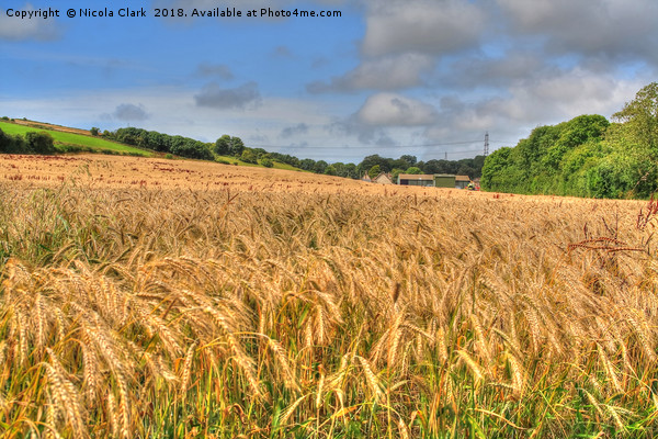 Dorset Harvest Picture Board by Nicola Clark