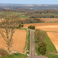 Buy canvas prints of Country Lanes by Nicola Clark