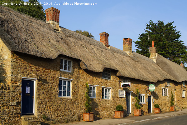 Thatched Cottages Picture Board by Nicola Clark