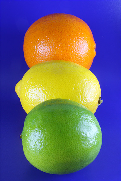 Orange Lemon and Lime Picture Board by Nicola Clark