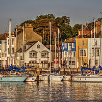 Buy canvas prints of Evening Sun In The Harbour by Nicola Clark