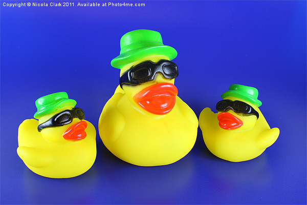 Three Rubber Ducks Picture Board by Nicola Clark