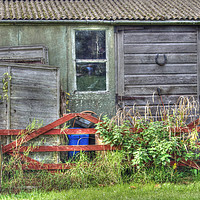 Buy canvas prints of Old Rural Shed by Nicola Clark