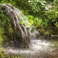 Buy canvas prints of Little Waterfall by Nicola Clark
