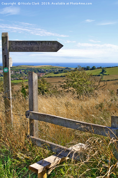 The Inland Coast Path Picture Board by Nicola Clark