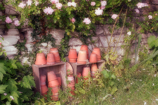 Old Terracotta Flower Pots Picture Board by Nicola Clark