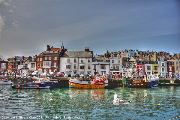Vibrant Fishing Boats in Weymouth Picture Board by Nicola Clark