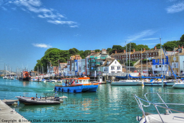 The Harbour In Summer Picture Board by Nicola Clark