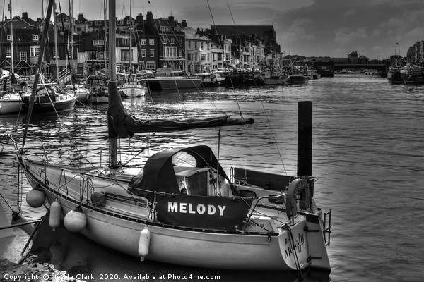 Melody In Monochrome Picture Board by Nicola Clark