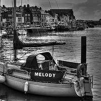 Buy canvas prints of Melody In Monochrome by Nicola Clark