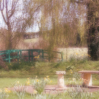 Buy canvas prints of English Country Garden by Nicola Clark