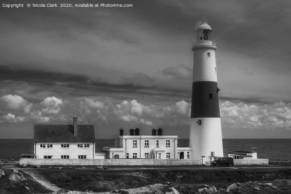 Portland Bill Lighthouse Picture Board by Nicola Clark
