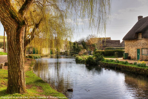 Tranquility in Sutton Poyntz Picture Board by Nicola Clark