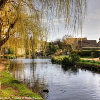 Buy canvas prints of Tranquility in Sutton Poyntz by Nicola Clark