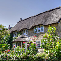 Buy canvas prints of A Dorset Cottage by Nicola Clark