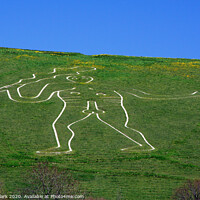 Buy canvas prints of The Cerne Abbas Giant by Nicola Clark