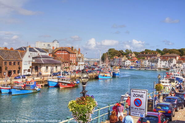 Weymouth Harbour In Summer  Picture Board by Nicola Clark