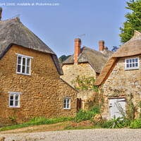 Buy canvas prints of Abbotsbury Cottages by Nicola Clark