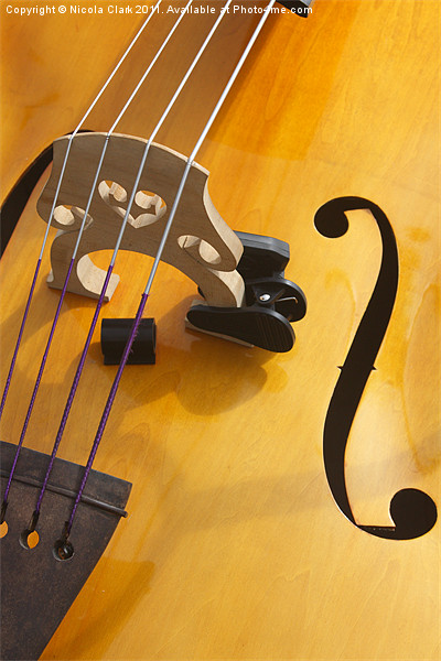Double Bass Picture Board by Nicola Clark