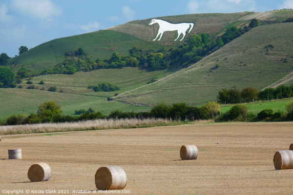 Majestic White Horse on Hillside Picture Board by Nicola Clark