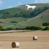 Buy canvas prints of Majestic White Horse on Hillside by Nicola Clark